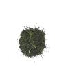 nosaku-sencha-sayamakaori-liscie-02.webp