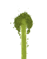 nosaku-ni-matcha-proszek-tekstura.webp