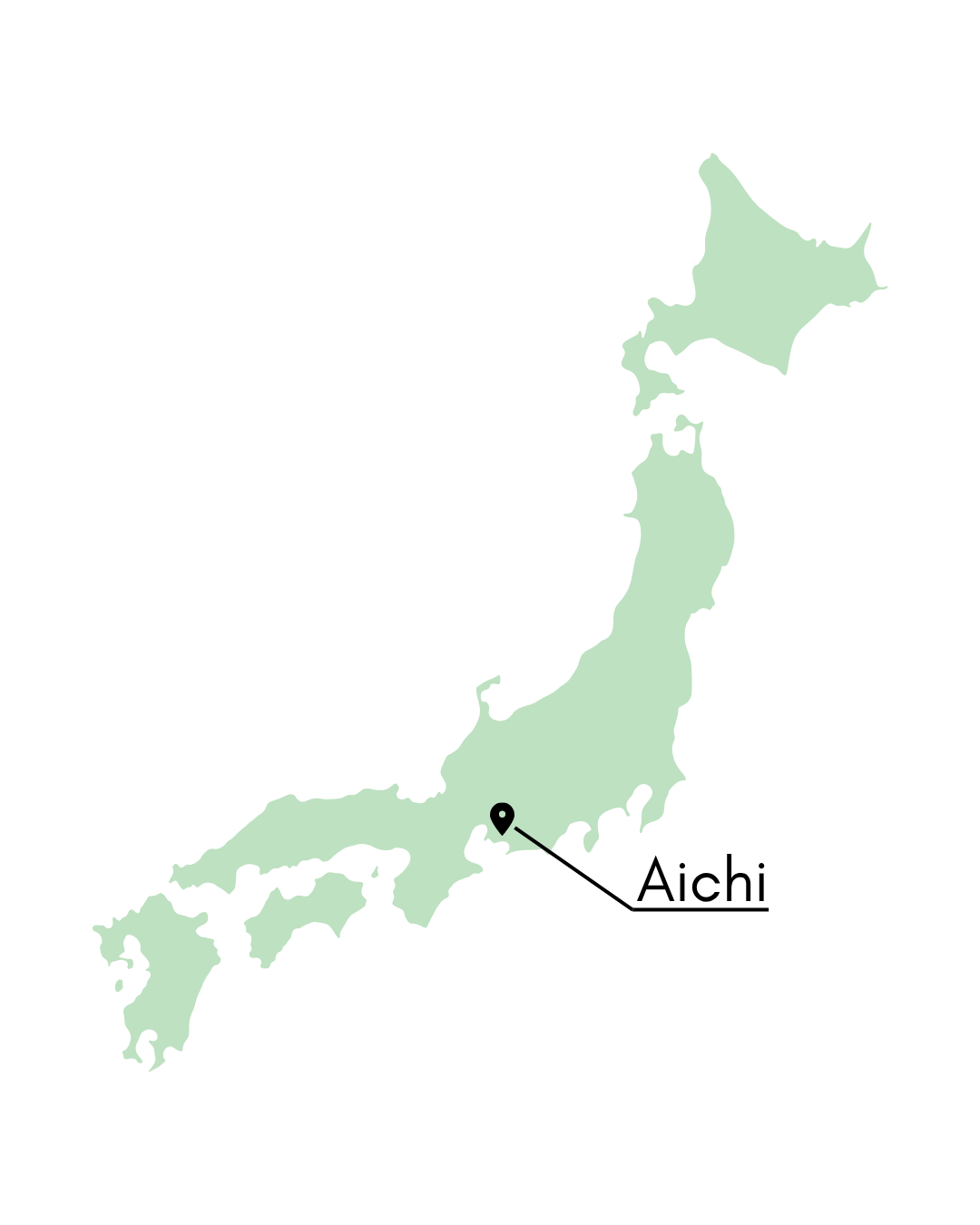 nosaku-san-aichi-nishio-plantacja-herbaty.webp